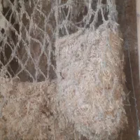 کاه|لوازم جانبی حیوانات|کبودرآهنگ, |دیوار