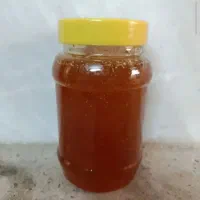 عسل طبیعی وارگانیک. کیلویی وباحلب