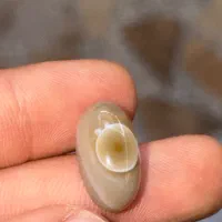 نگین انگشتر سلیمانی