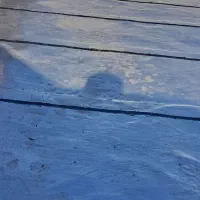 اجرای ایزوگام وقیرگونی آسفالت اقساطی|خدمات پیشه و مهارت|لردگان, |دیوار