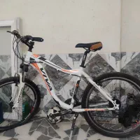 دورچرخه ویوا