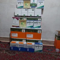 فروش انواع ارقام بذر چغندر