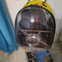 قفس و کیف پرنده