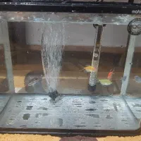 آکواریوم شیشه‌خم ماهیران