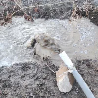 حفاری چاه|خدمات پیشه و مهارت|ارومیه, |دیوار