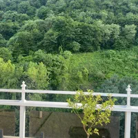 فروش واحد پلاک یک جنگل فول مشاعات