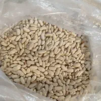 لوبیا سفید محلی سرحد درجه یک تازه|عمده‌فروشی|مرودشت, ولایت|دیوار