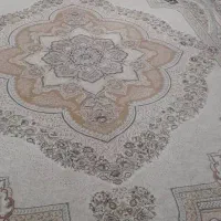 قالی تمیزودرحدنو