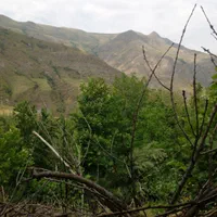 باغ ۴۰۰۰ متری در روستای ساربانک|فروش زمین و ملک کلنگی|قزوین, |دیوار