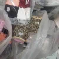 شورت بصورت عمده|عمدهفروشی|کرج, گلشهر|دیوار