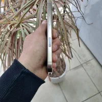 16pro256zaa|موبایل|شیراز, وصال|دیوار