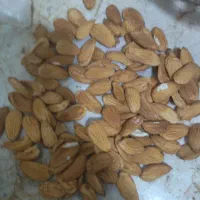 خریدوفروش انواع بادام|خوردنی و آشامیدنی|شیراز, دروازه اصفهان|دیوار