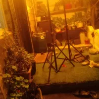 سه پایه|دوربین عکاسی و فیلمبرداری|رشت, کوی حسینی|دیوار