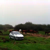 206 تیپ 3 مدل 85