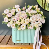 گل جاودان و ابدی|گل مصنوعی|شیراز, شهرک نیروی انتظامی|دیوار