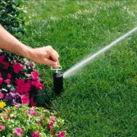 طراحی و اجرای سیستم آبیاری