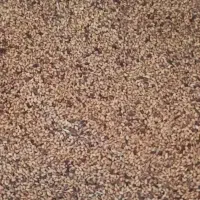 بذریونجه مغان درجه یک با تناژت بالا|خدمات باغبانی و درختکاری|قشلاق دشت, |دیوار