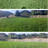 زمین کشاورزی