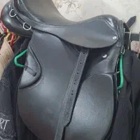 زین اسب خارجی|اسب و تجهیزات اسب‌سواری|ری, دیلمان|دیوار