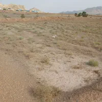 ۱۰۰۰متری زمین بایر برای سرمایه گذاری