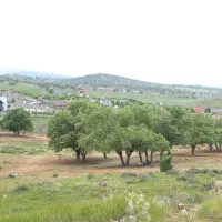 باغشهری-کهمره-سرخی