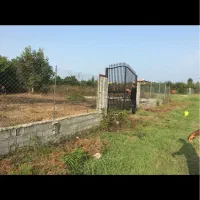 زمین تجاری و گلخانه ای در کوچه ۱۶ متری|فروش زمین و ملک کلنگی|گلوگاه بابل (گلیا), |دیوار