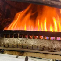 بخاری|بخاری، هیتر، شومینه|برخوار, |دیوار