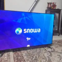 تلویزیون