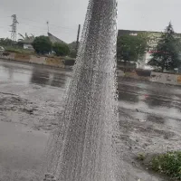 تور ماهیگیری، سالی