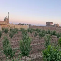 فروش خانه ویلایی ۸۰ متری ۱ خوابه در بکاول|فروش خانه و ویلا|نیشابور, بکاول|دیوار
