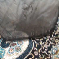 چادر ماشین نو نو کی ام سی