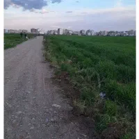فروش-3-قطعه-زمین-کشاورزی1200متری-بر-بلوار-طاقبستان