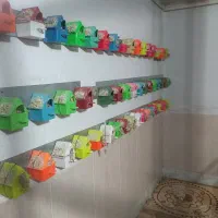 قفس بزرگ داخل خونه