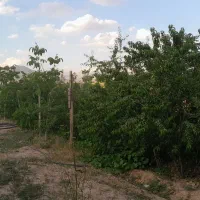 باغچه چهاردیواری ۵۰۰ متری کوشک زر جزو اراضی آردهه