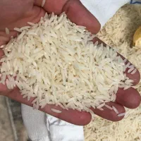 برنج طارم هاشمی اعلا فریدونکنار خرید از کشاورز|خوردنی و آشامیدنی|فریدون‌کنار, |دیوار