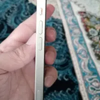 اپل آیفون iPhone 13 همراه با گارانتی|موبایل|مرودشت, تامین اجتماعی‎|دیوار