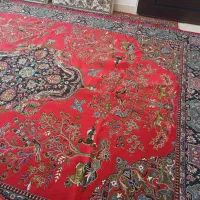 فرش دست باف وماشینی|فرش|ارومیه, |دیوار