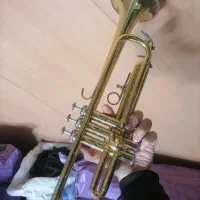 ترومپت شاتو تایوان سری قدیم|سازهای بادی|اصفهان, جامی|دیوار