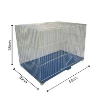 فروشگاه لوازم جانبی پرندگان|لوازم جانبی حیوانات|بیرجند, |دیوار