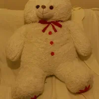 این خرس سفید مخصوص ولنتاین است