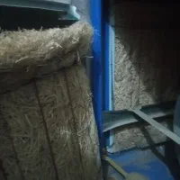 کلر ابی به شرت کار