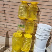 فروش ظرف ترشی