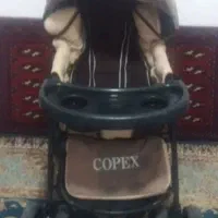 کالسکه و صندلی ماشین