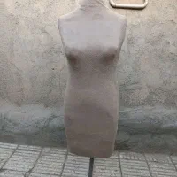 مانکن سوزن خور