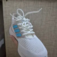 کتونی|کیف، کفش، کمربند|بروجرد, |دیوار