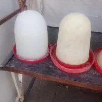 ظرف آب دون جوجه و مرغ بلدرچین