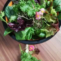 استخدام راننده اریسان یخچالدار|استخدام حمل و نقل|شیراز, شهرک گلستان|دیوار