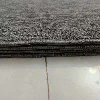 پادری پالاز نو