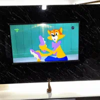 تلویزیون دوو