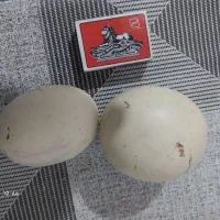 سنگ آسیاب الماس